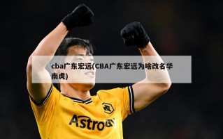 cba广东宏远(CBA广东宏远为啥改名华南虎)