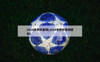 2014世界杯集锦(2014世界杯***回放)