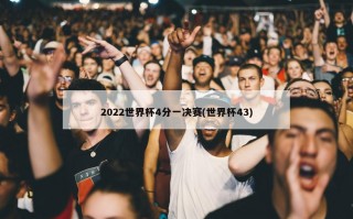 2022世界杯4分一决赛(世界杯43)