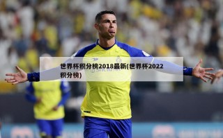 世界杯积分榜2018最新(世界杯2022积分榜)